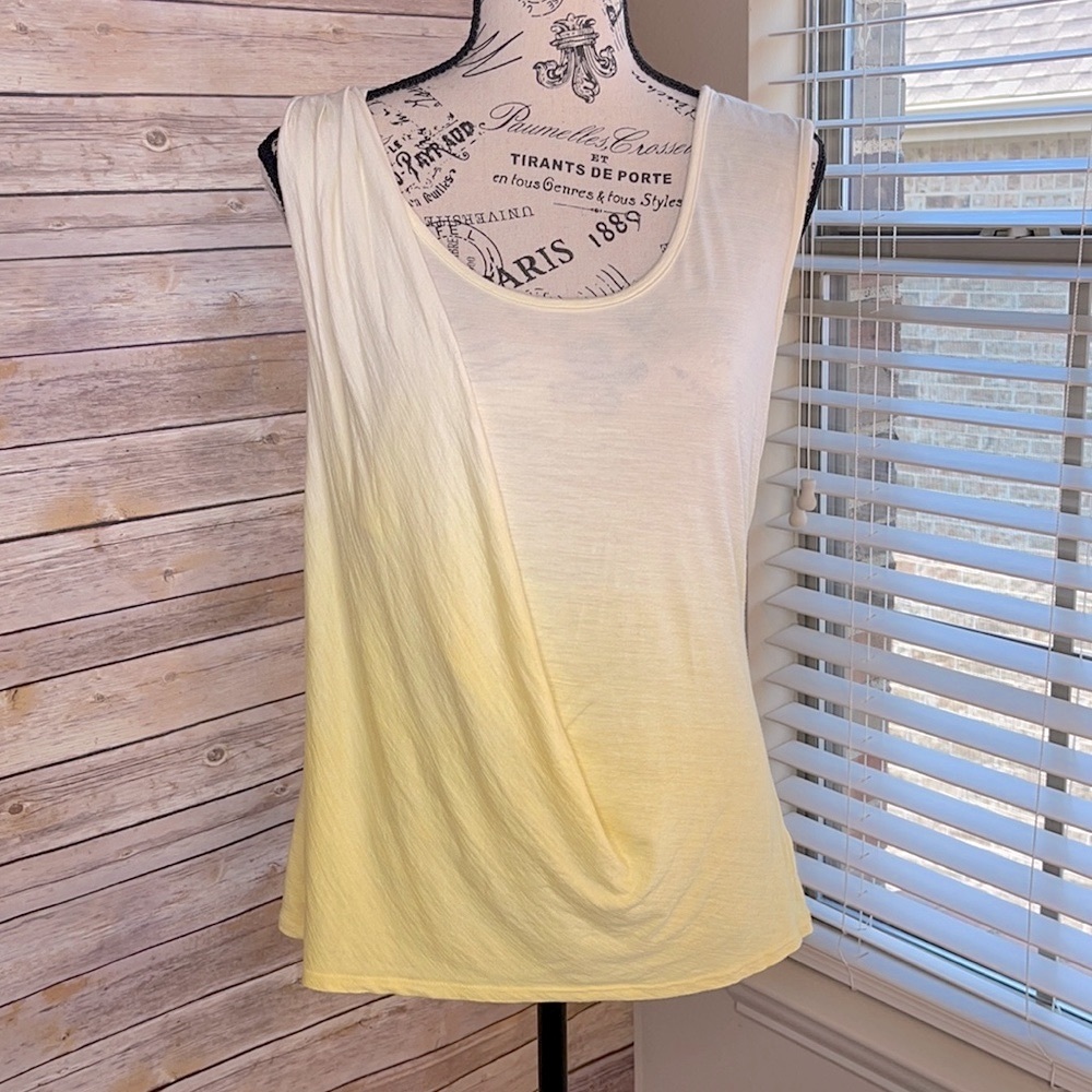 Everette Bleu ombre sleeveless top